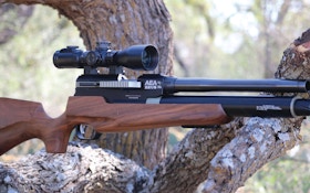 Airguns for Practice, Protection and Hunting