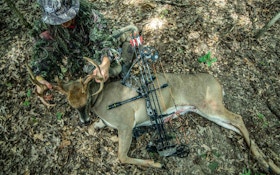 Bear Archery Announces Partnership With ‘The Hunting Public’