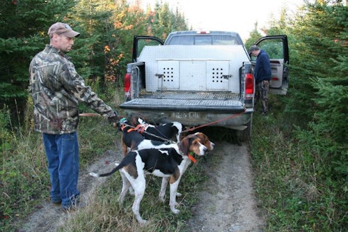 Is hunting with hounds legal in your state? Hound hunters are fiercely loyal to the retailers who understand their specific needs.