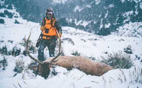 Montana Double-Down Hunt