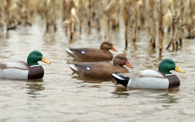 What Decoys Waterfowlers Want
