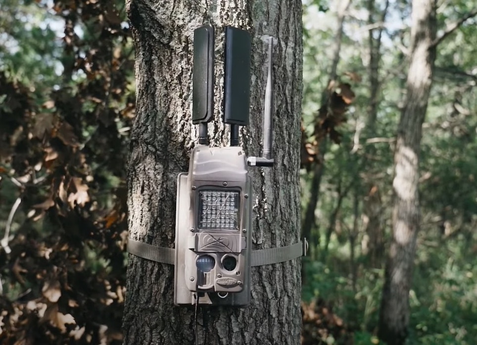 A Focus on Trail Cameras