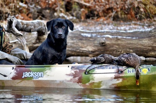 Not all hunters will want a model specifically built for hunting, but camo options will definitely grab their attention and potentially open a customer's mind to uses for his kayak that he might not have considered.