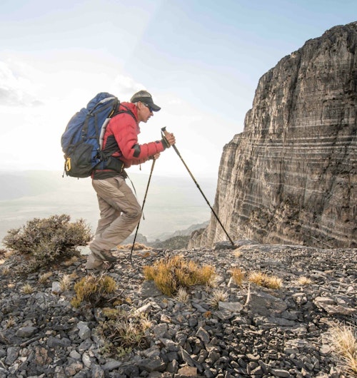 Trekking poles aid in weight transfer, making hiking more energy efficient.