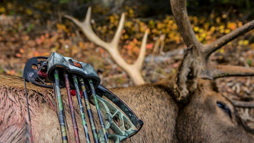 6 Great Bow Quivers