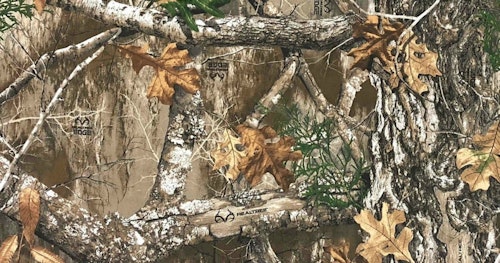 Realtree Edge is a solid year-round option for most areas of the country.