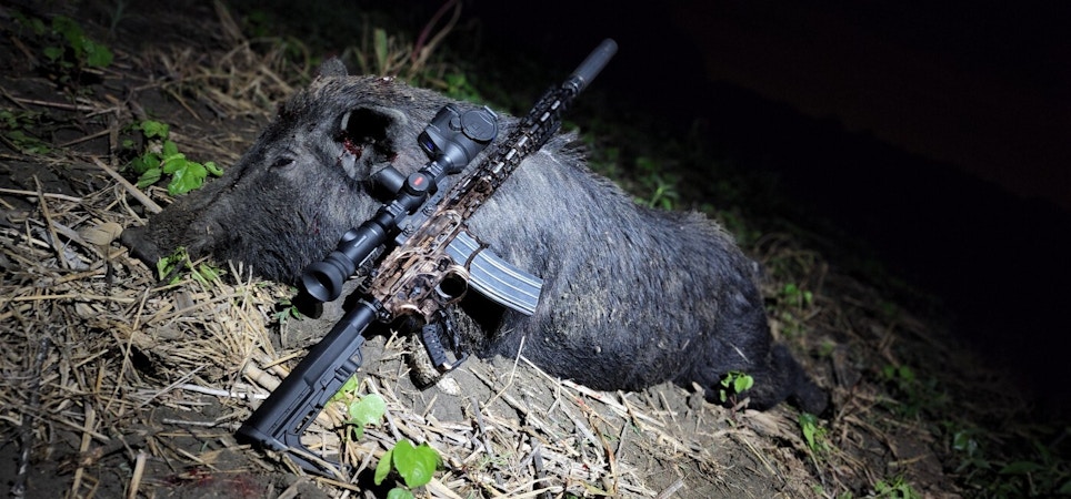 Pig Rigs: 10 Rifles to Fatten Retail Sales