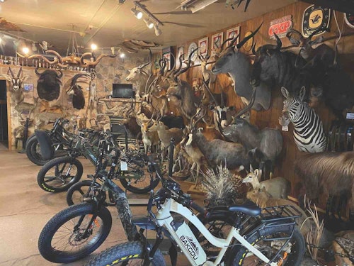 Dakota Archery sells everything from arrows to E-bikes, and also showcases impressive taxidermy. 